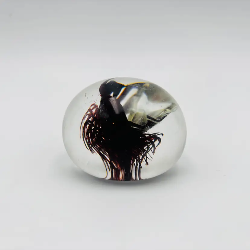 Hand Blown Studio Art Glass Paperweight Burgundy Cream Abstract Swirl Signed