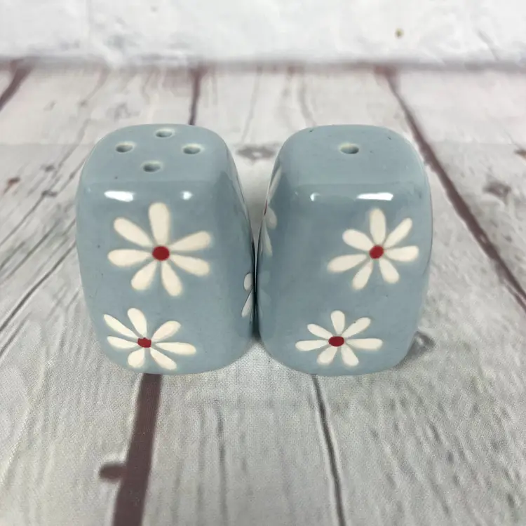 Pfaltzgraff Blue Flower Dazee Sky Ceramic Salt and Pepper Shakers Never Used