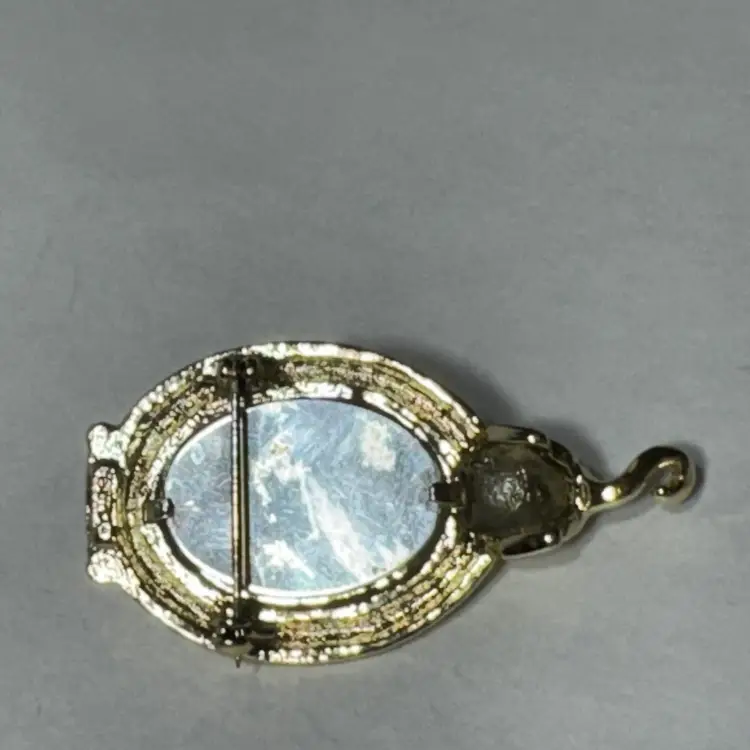 Vintage Brooch Signed AJC Cat Look in  Toilet Bowl