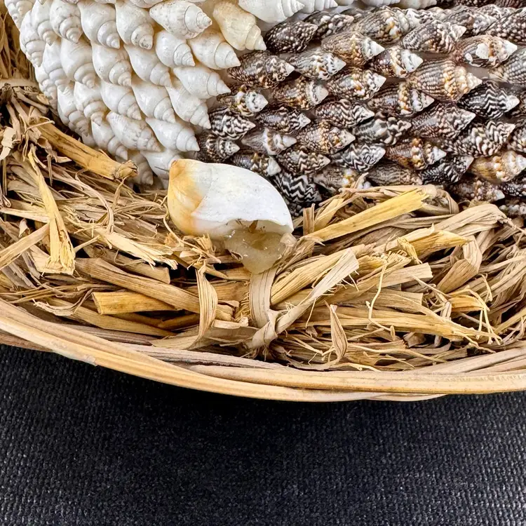Vintage Seashell Hen On A Nest Basket
