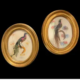 2 Vintage Real Bird Feathers Art Wall Pictures 7”