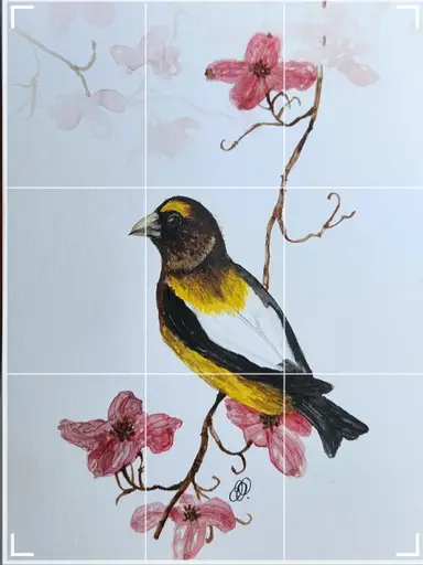 Bird's The Word! Original Signed Watercolors