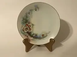 Vintage Plate Thomas Bavaria Beautifully Hand Painted Floral Daisy