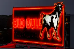 Old Bull