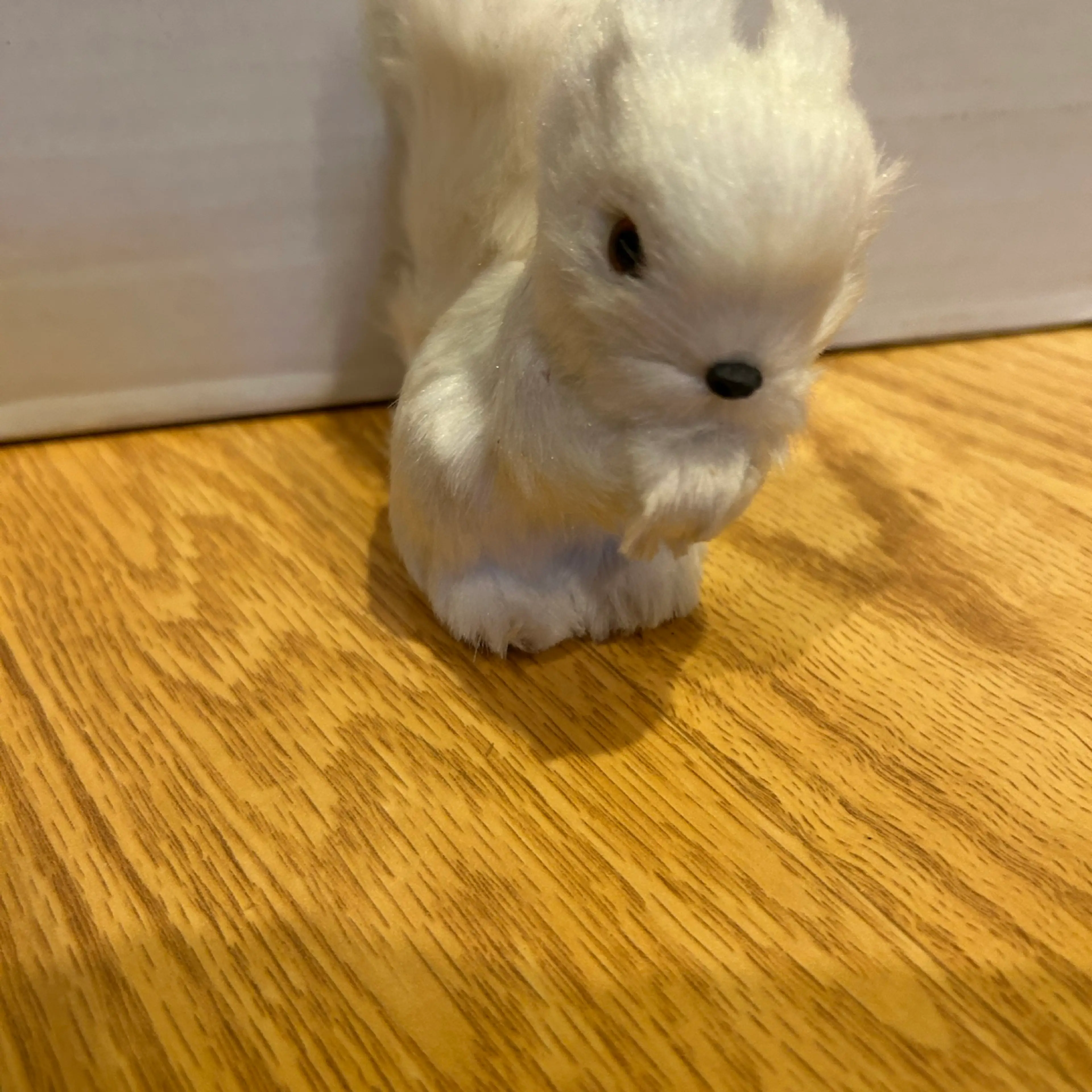 Image 2 of 3