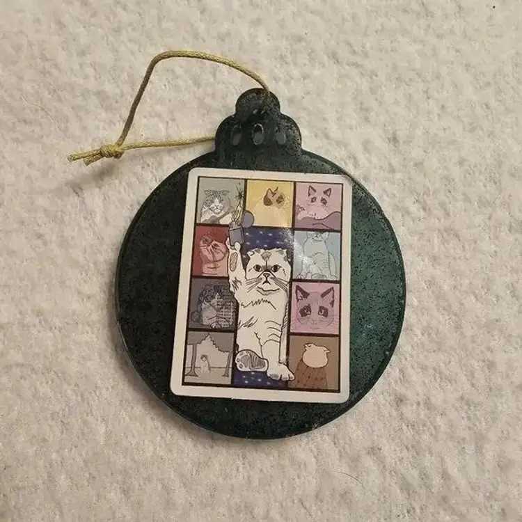 Handmade Resin Taylor Swift Scottish Fold Eras Tour Ornament