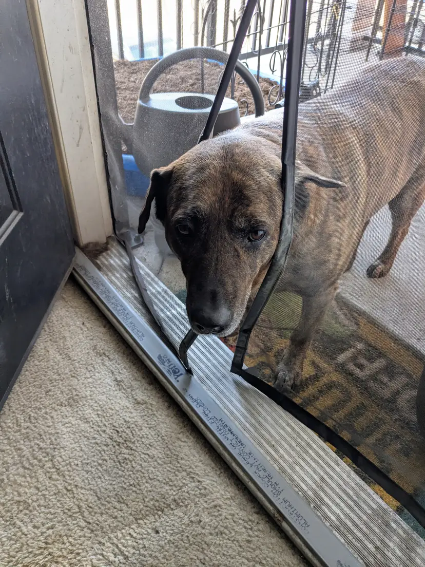 Livestream thumbnail