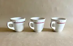 Shabby Chic Syracuse  Econo Rim Embossed Floral Rose Restaurant Ware Coffee Tea Cup Made USA - Lot of 3 Cups