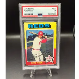 1975 Topps Pete Rose #320 PSA 5