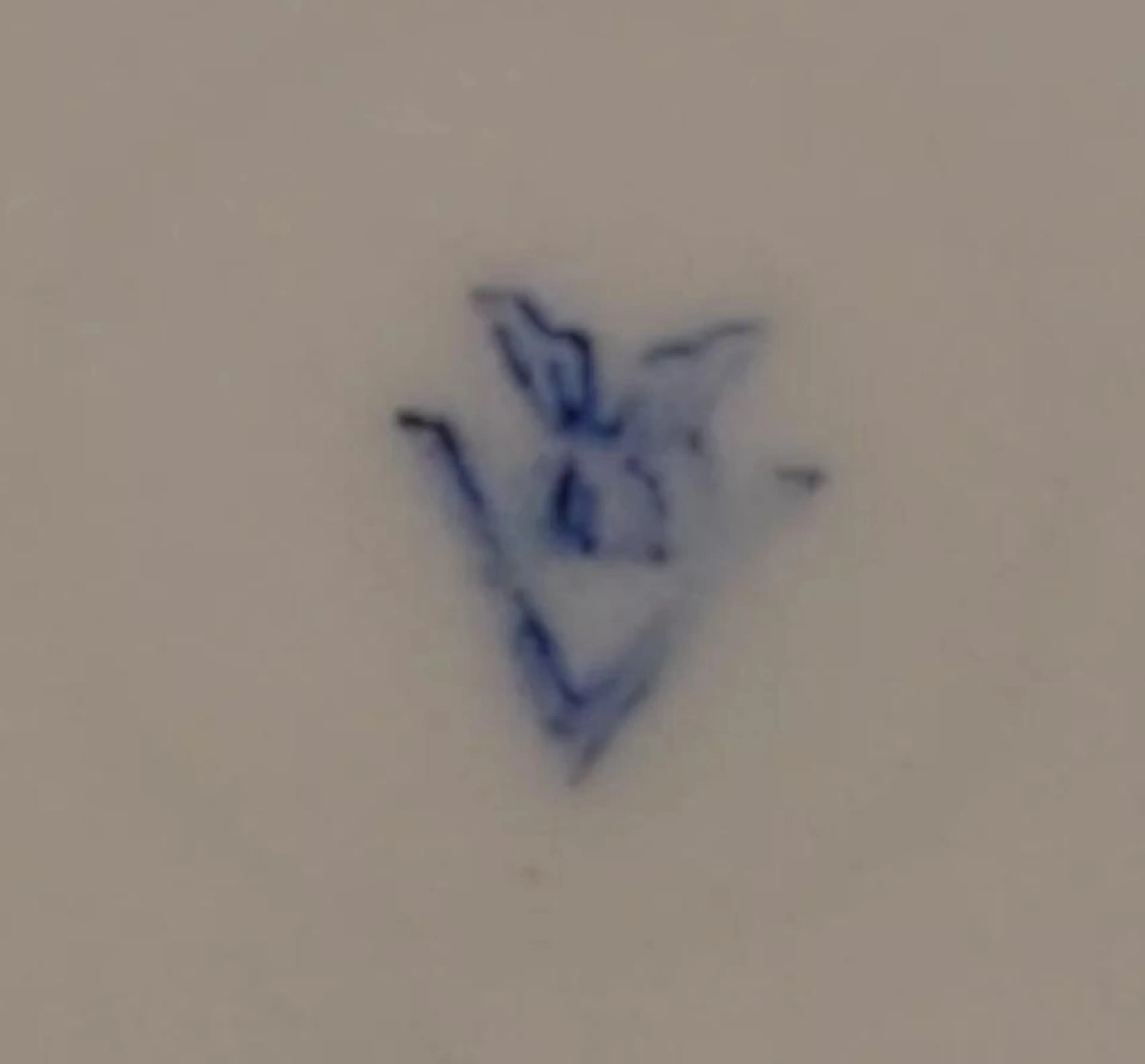 Image 5 of 7