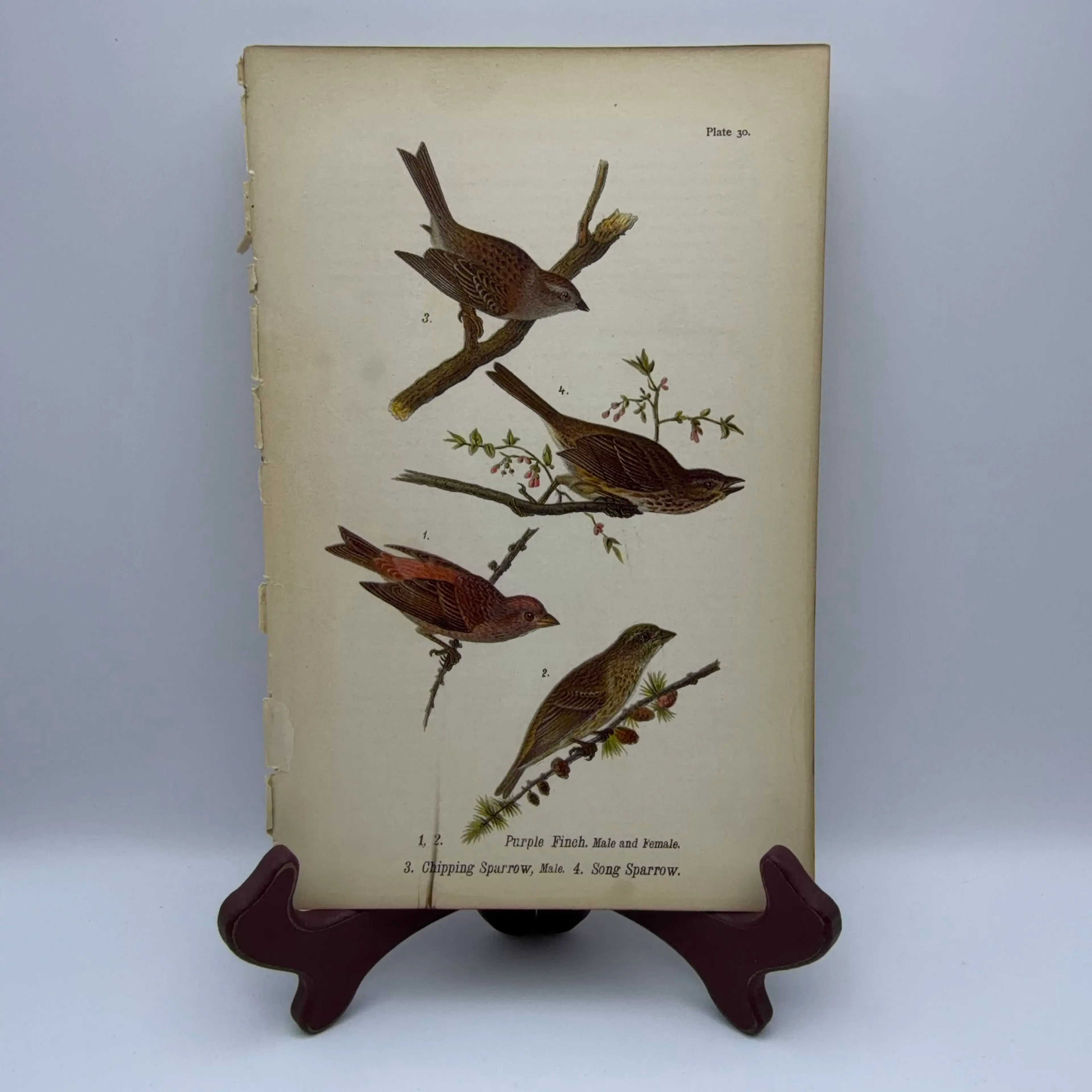 Image 1 of 9