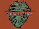 Northern Aroids