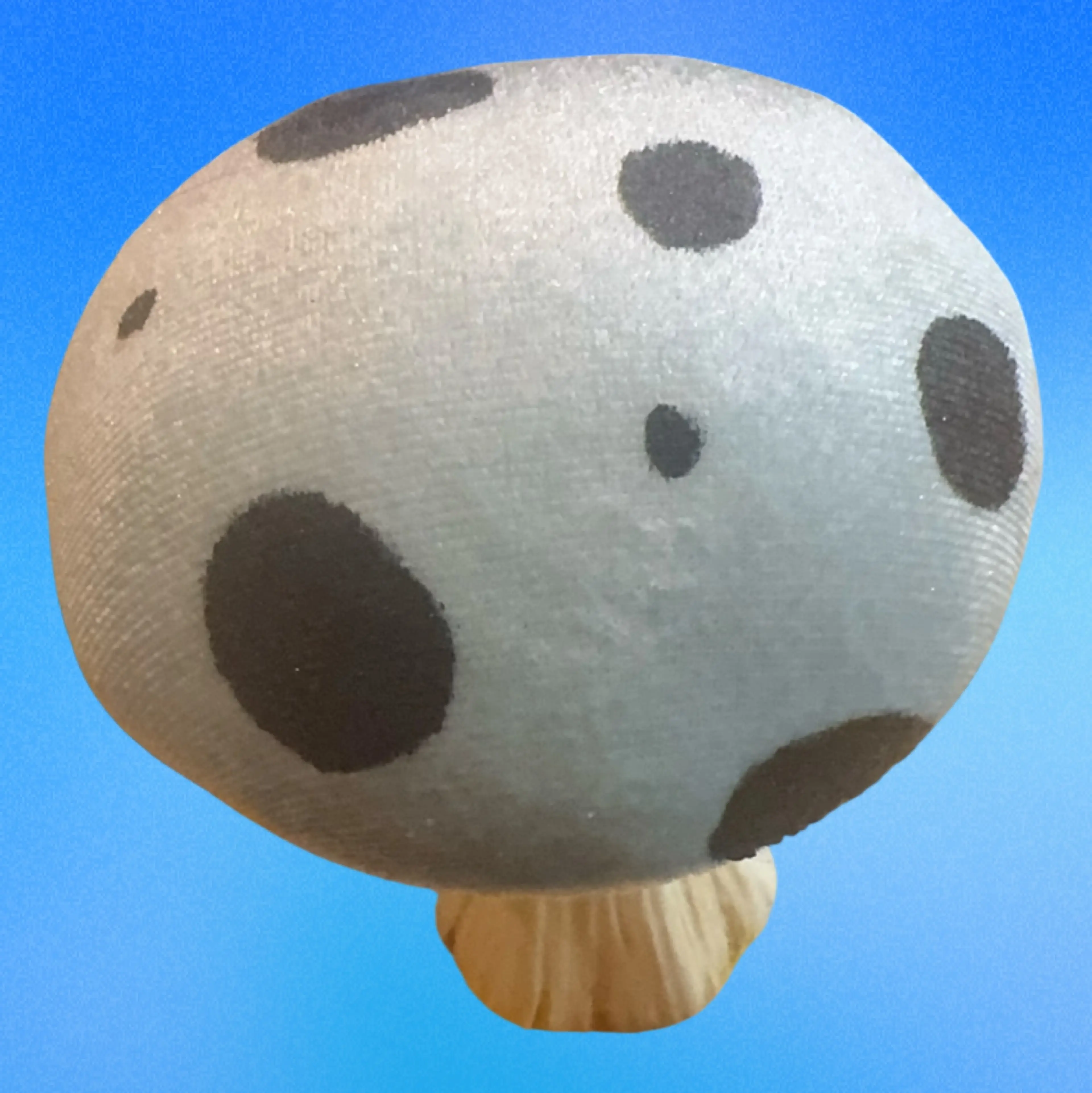 Image 4 of 5