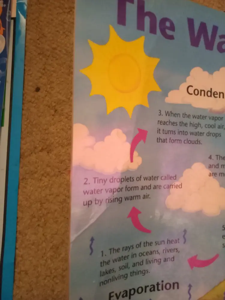 The Water cycle educational poster.