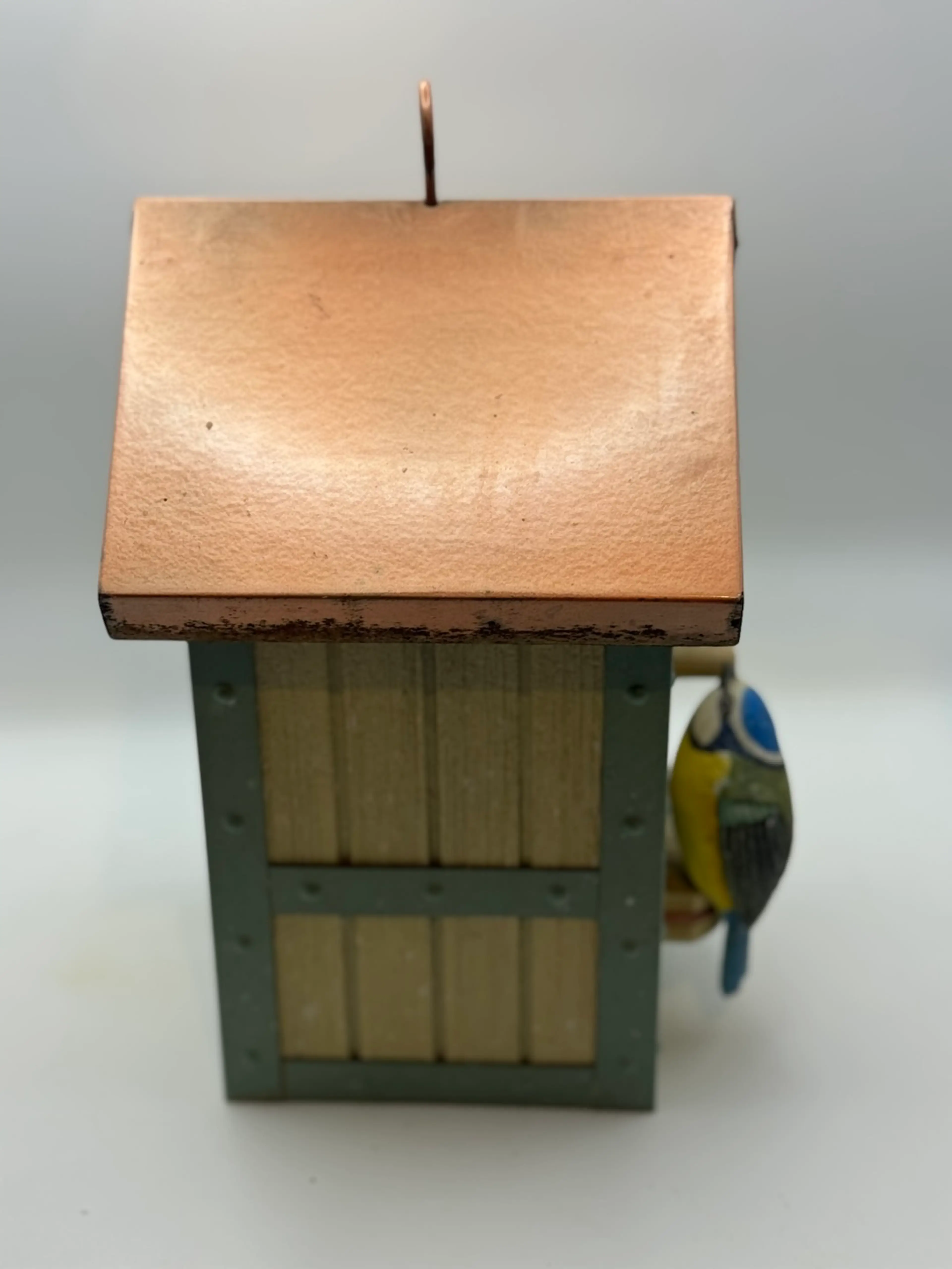 Image 5 of 12