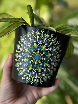 4.7 inch peacock