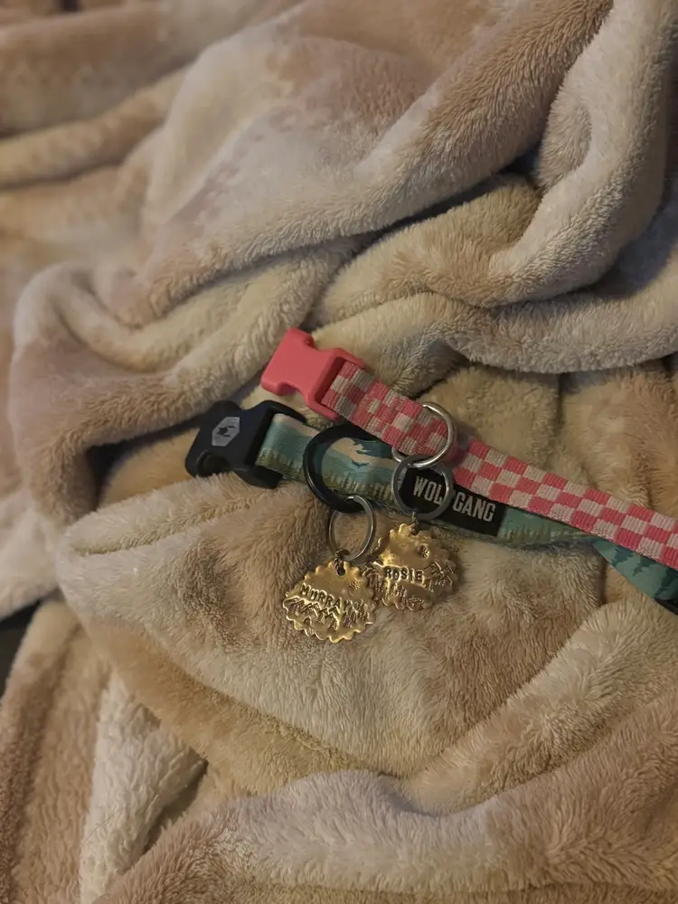 Custom Brass Pet Tag