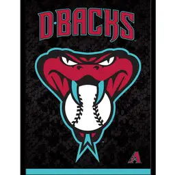Dbacks Mystery Pack