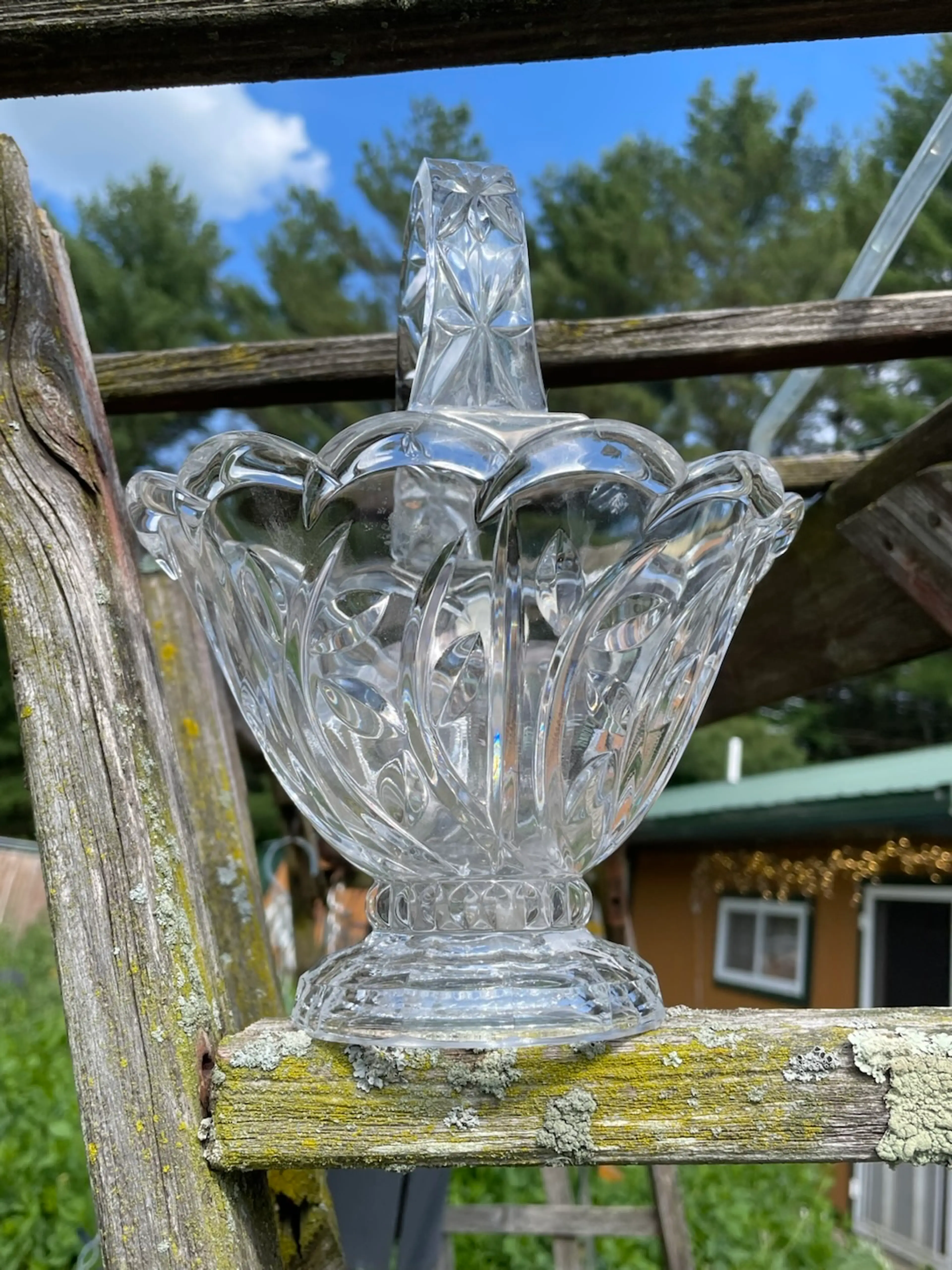 Image 2 of 11