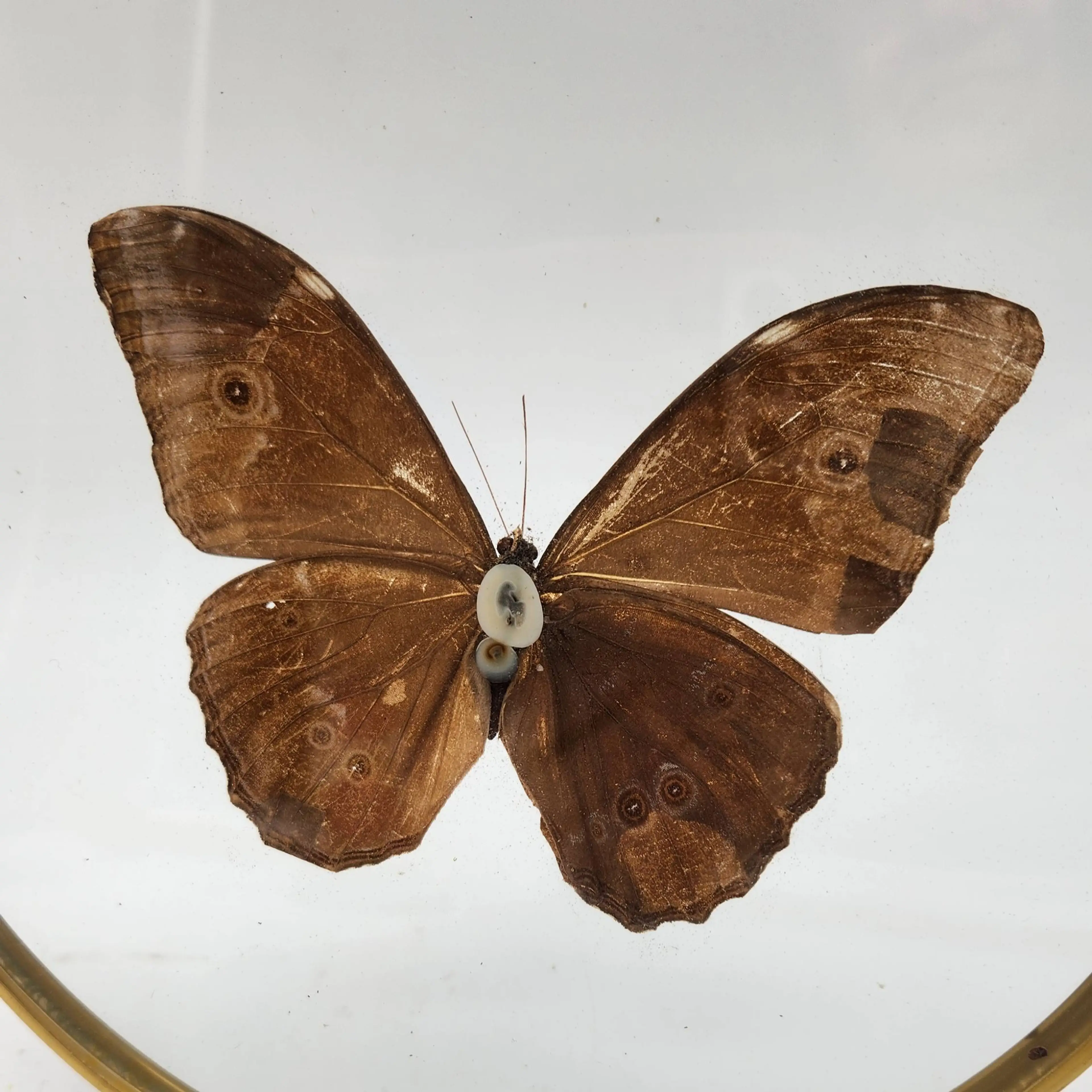 Image 5 of 8