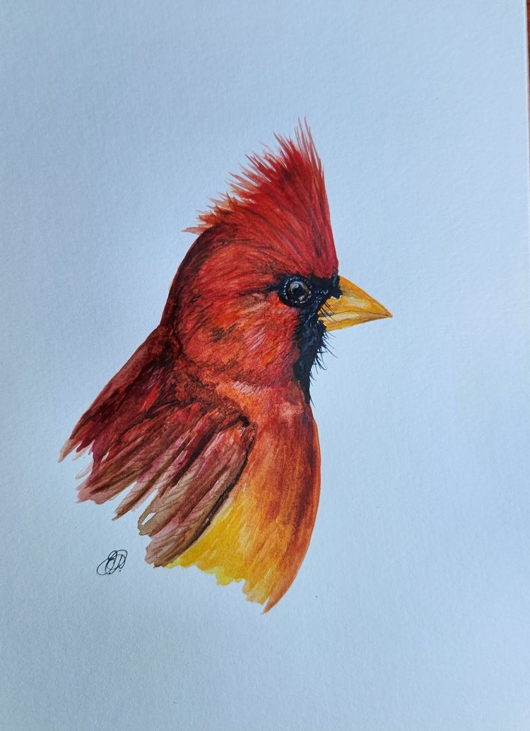 Cardinal Original watercolor painting Signed By The Artist 5x7 Free Shipping