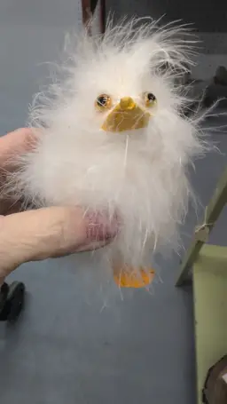 Feather chick