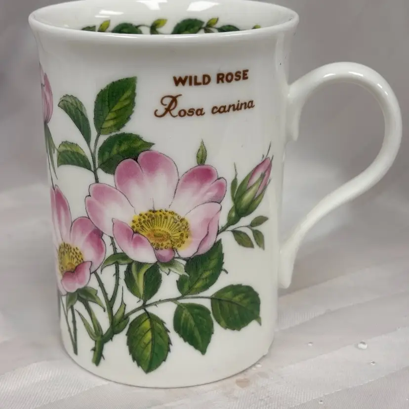 Crown Trent Fine Bone China Wild Rose Design 10 Oz, Cottage Decor