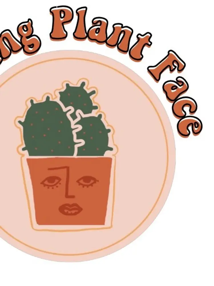 All The Colors Concrete Pots! 