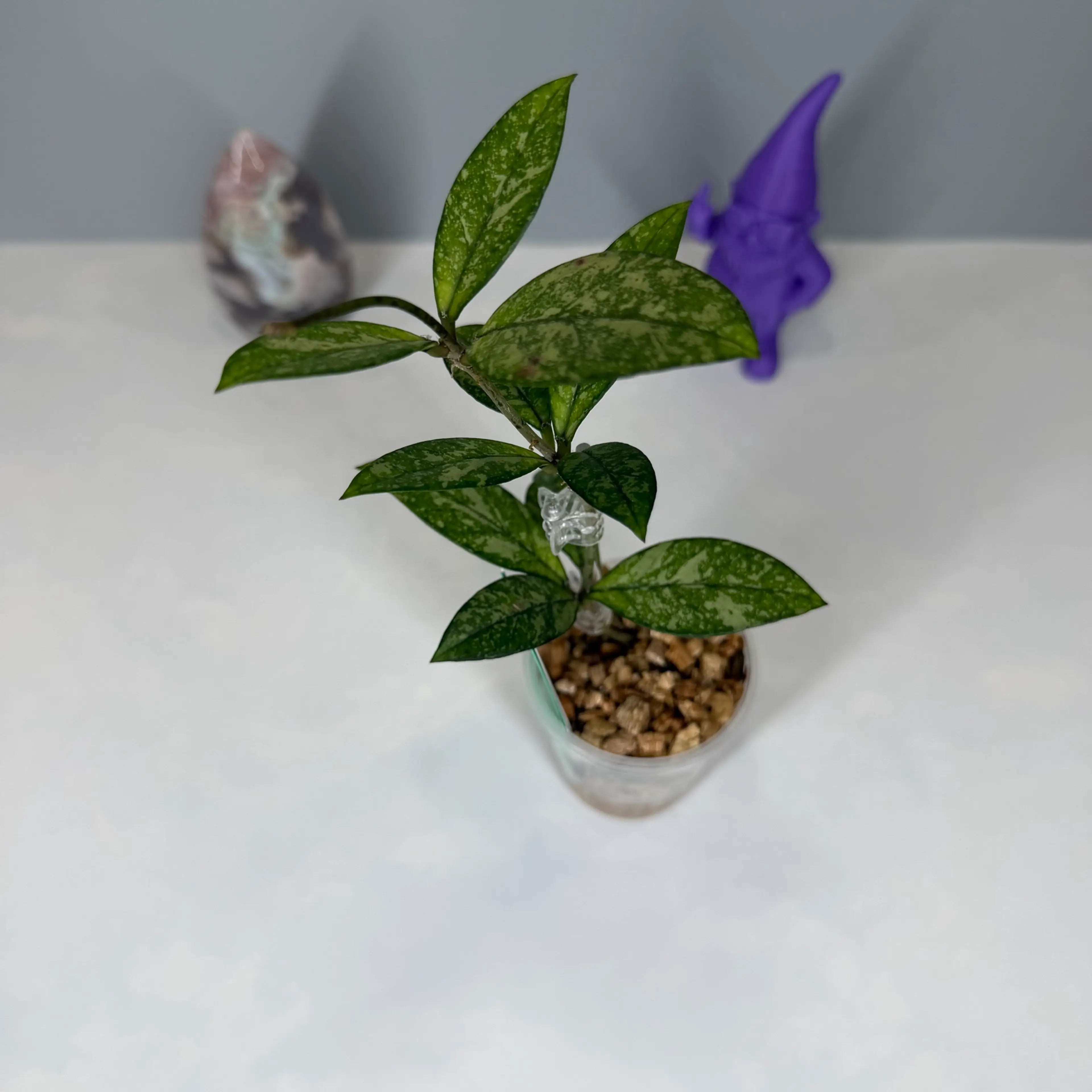 Image 3 of 3