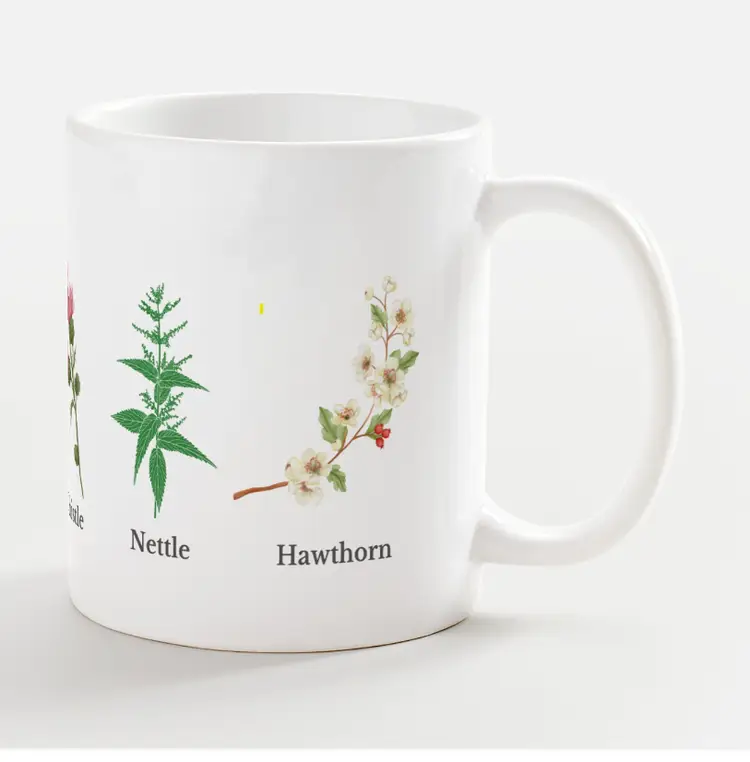 Plants of Mars Mug
