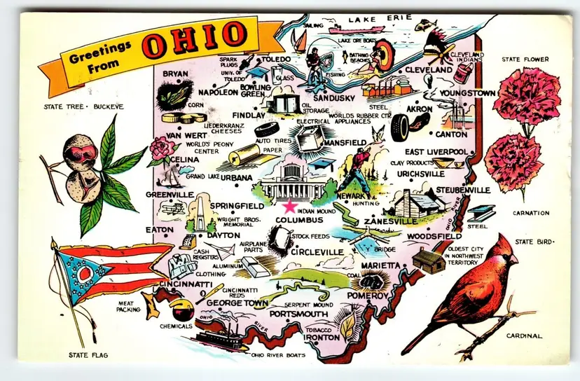 Ohio Map Postcard Chrome Cardinal Bird State Flower Carnation Flag 1953 Tichnor