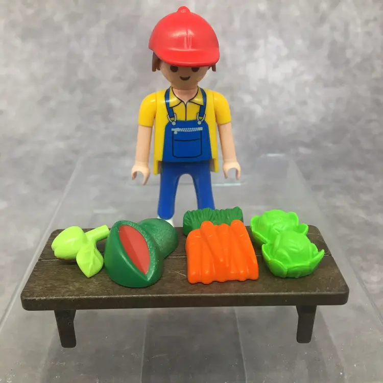 Playmobil Farmer & Fruit For Sale