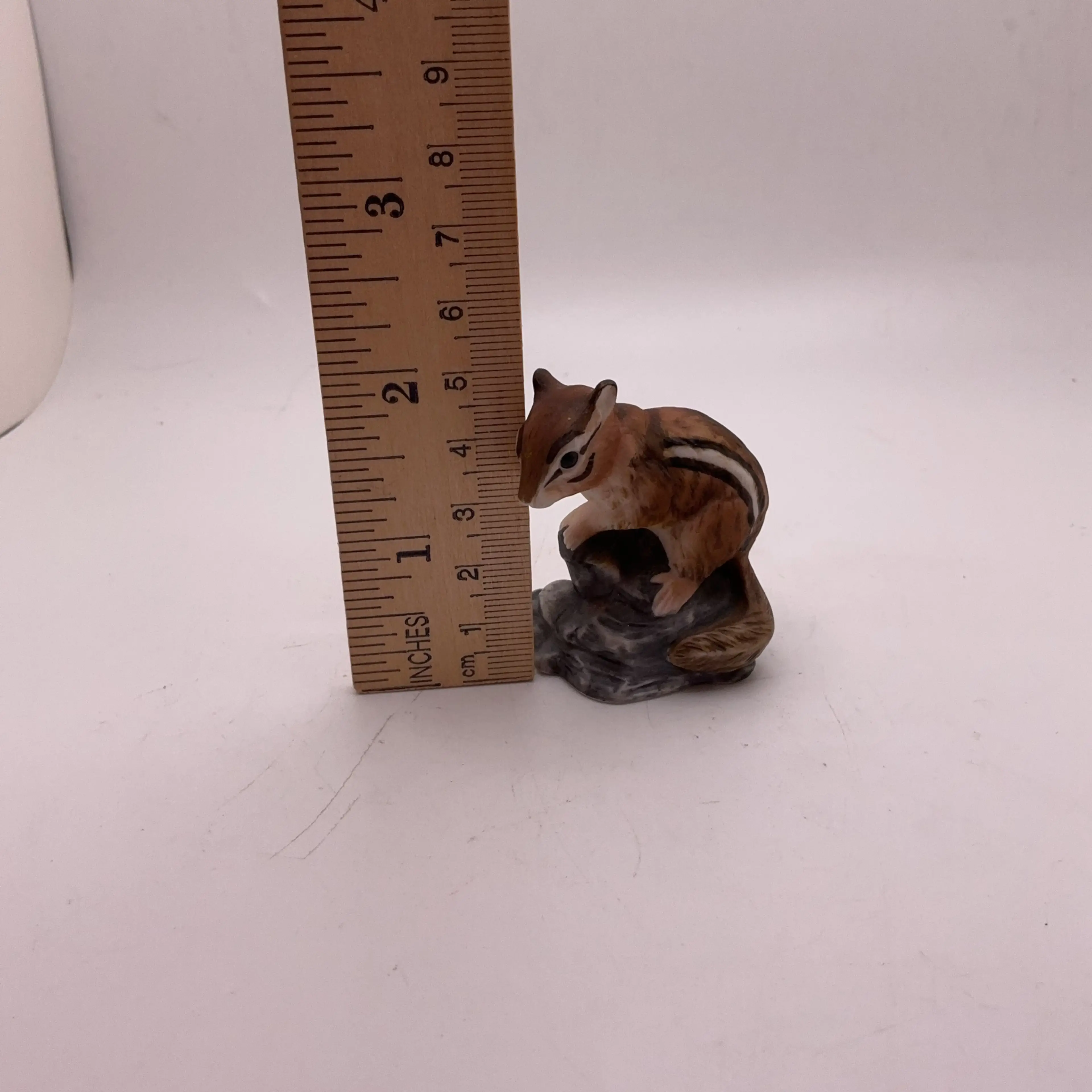 Image 5 of 5