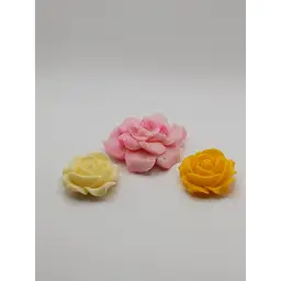 3 Beautiful Hand Carved Tridacna Clam Shell Rose Beads