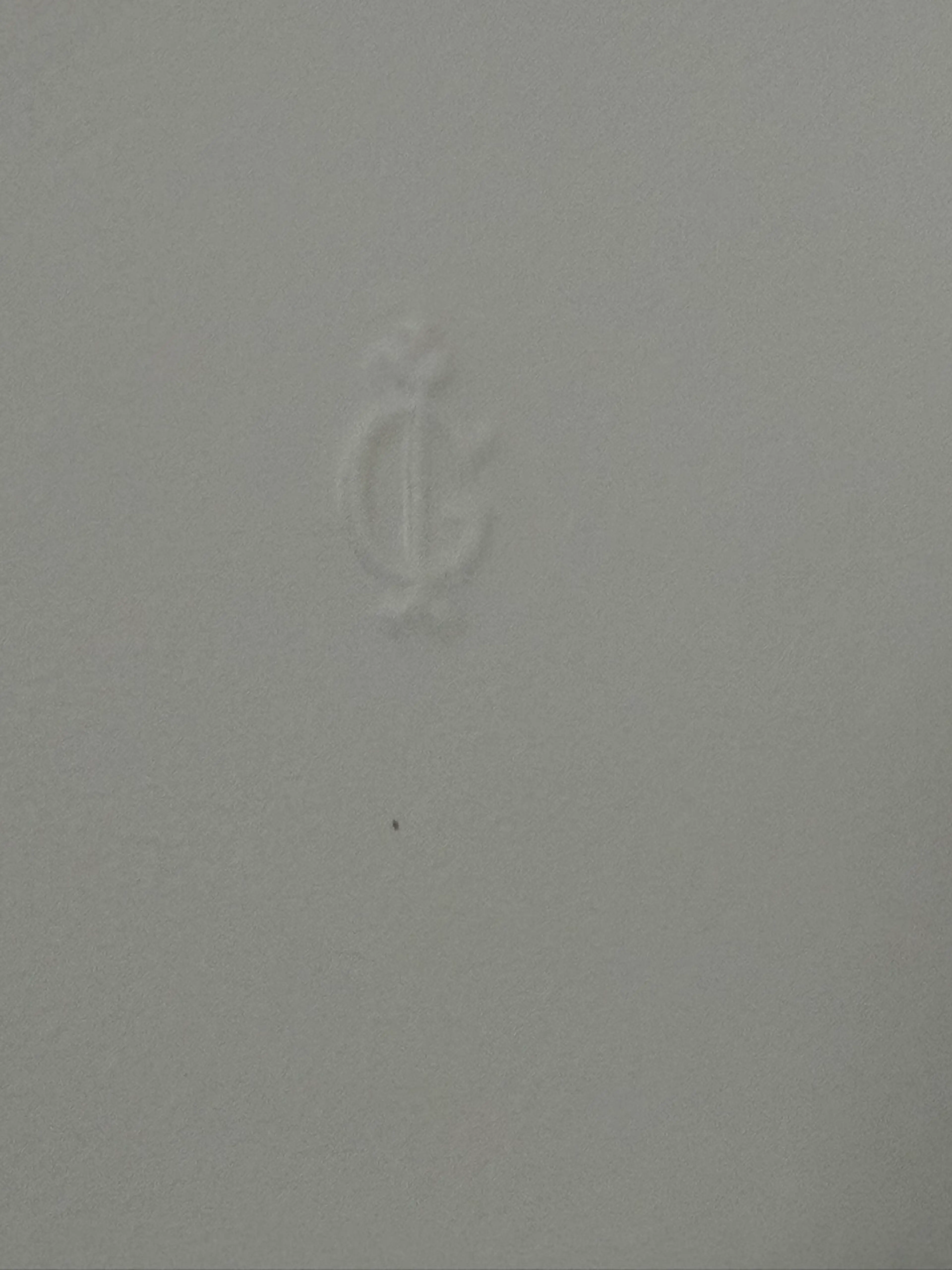 Image 4 of 9