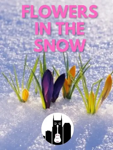 Last Day of Theme Before Reset