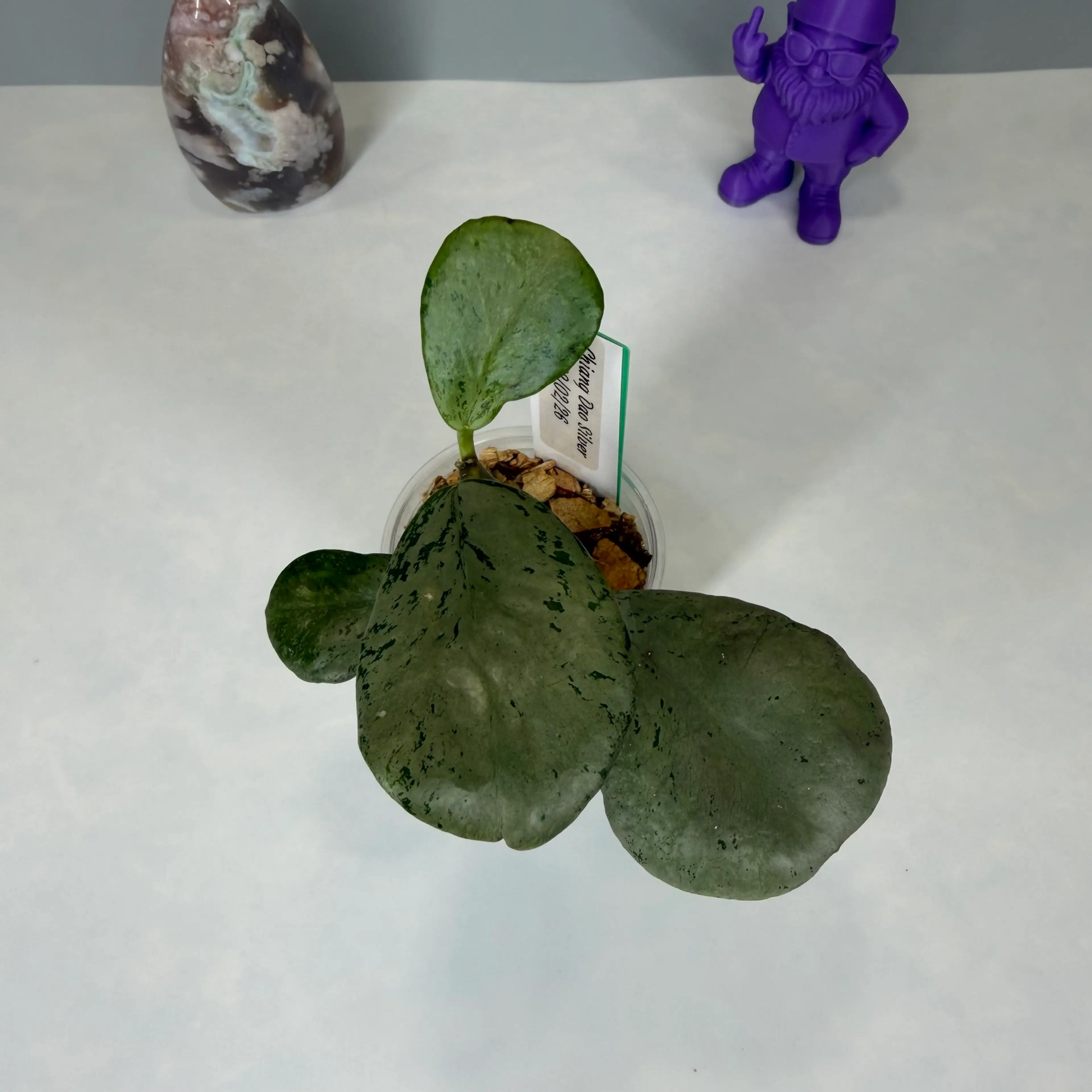 Image 2 of 3
