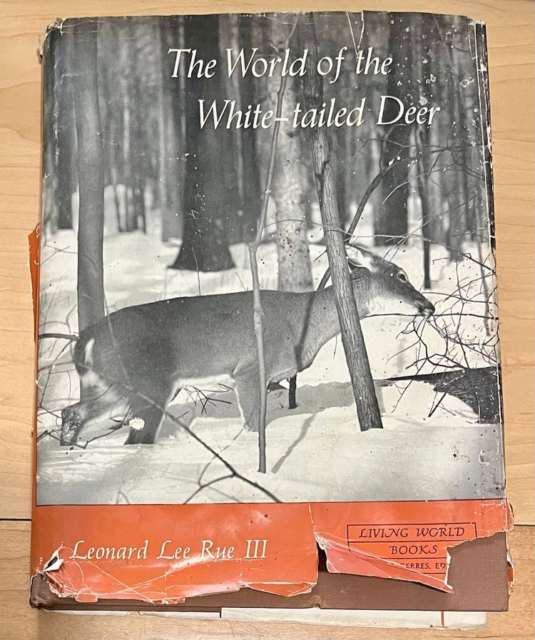 1962 The World of the White-Tailed Deer by Leonard Lee Rue III HCDJ Text Photos