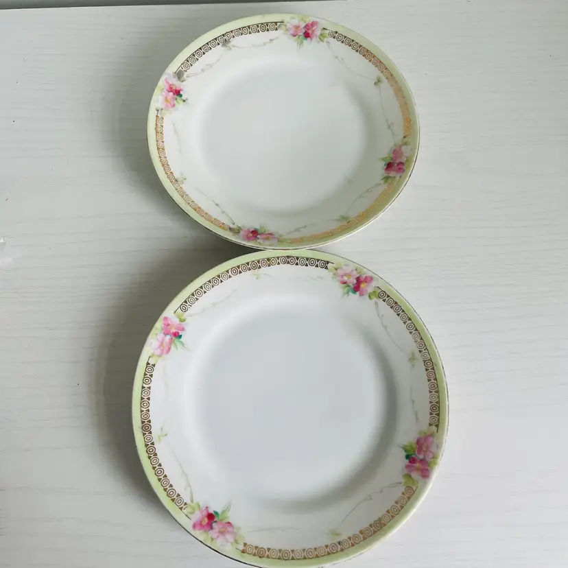 Two Handpainted Nippon Bread And Butter Plates Pink Floral Gold Pattern