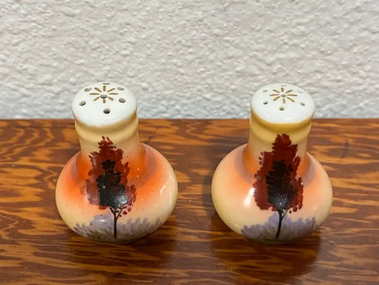 Vintage Salt & Pepper Shakers, Made In Japan