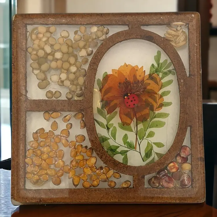 Vtg 1970s Lucite Acrylic Resin Orange Flower Ladybug Seeds Trivet Design Gifts