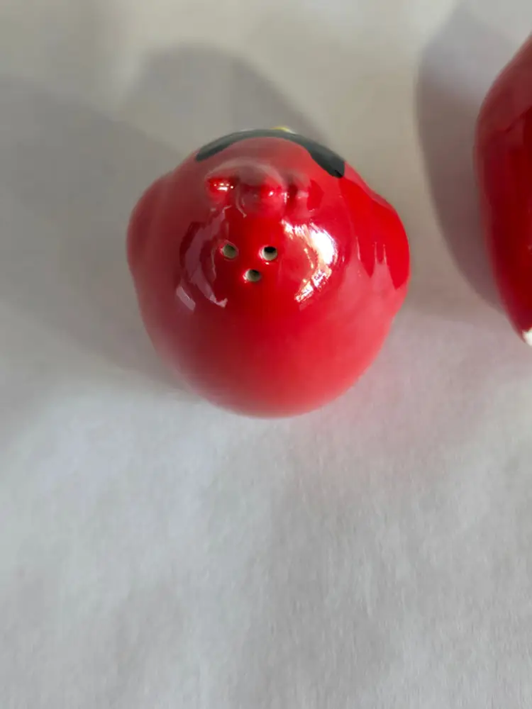 Cardinal salt and pepper in box