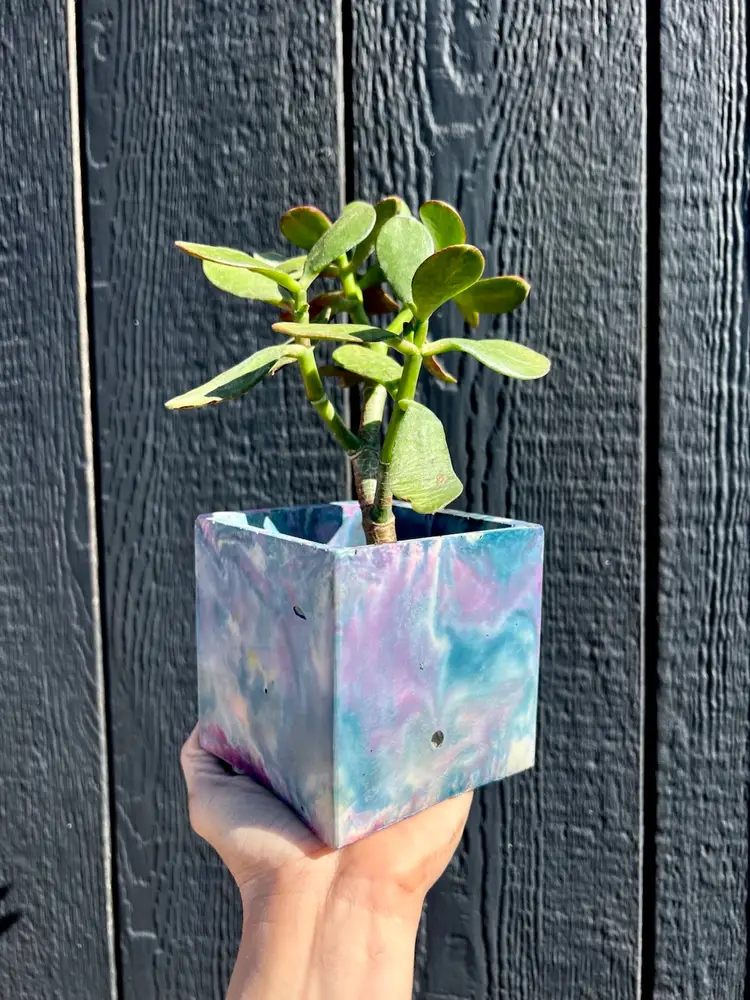 4” Cotton Candy Concrete Square Planter