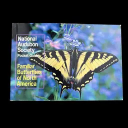 National Audubon Society Pocket Guid Familiar Butterflies of North America, Vintage Butterfly Ephemera, Butterfly Reference Book