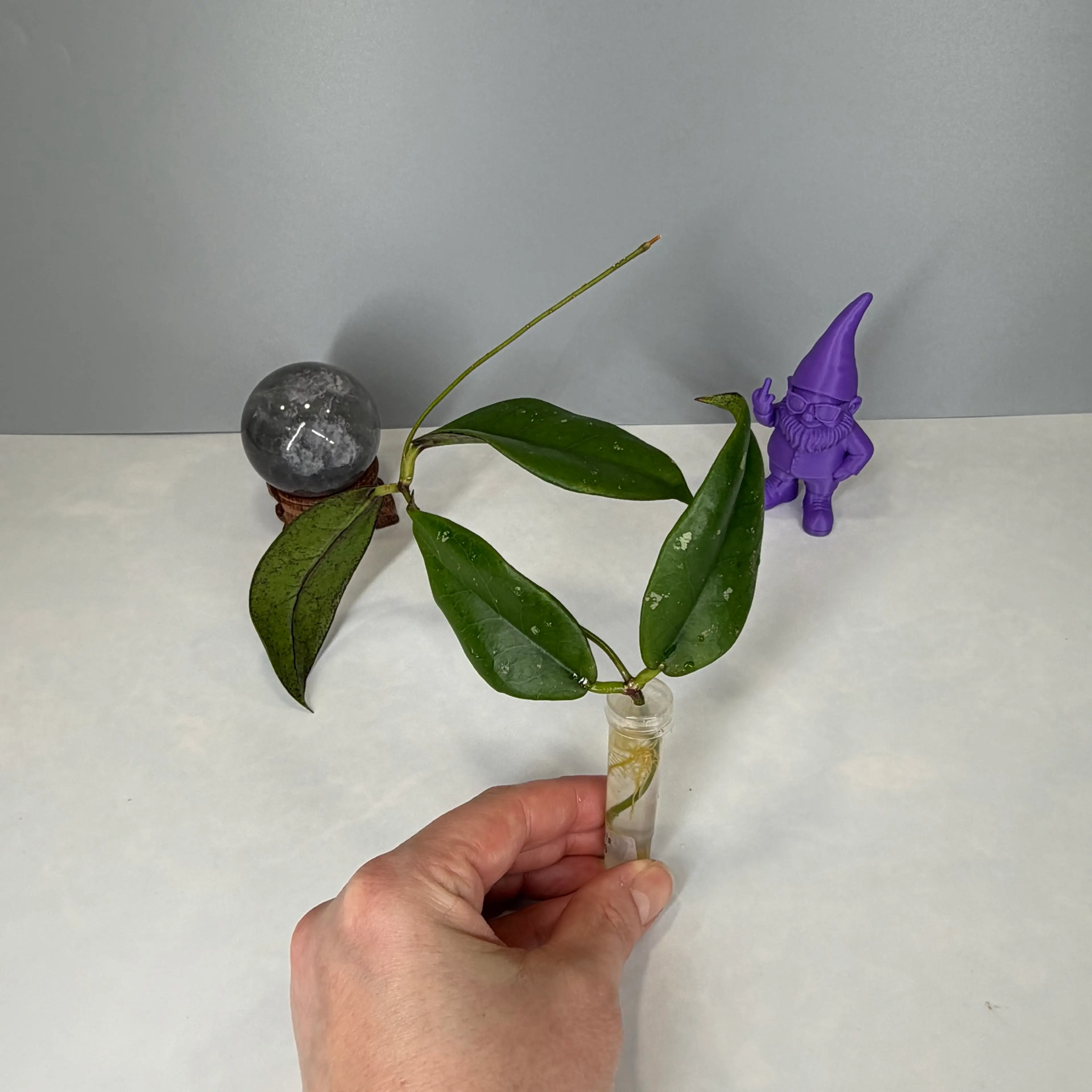 Image 1 of 6