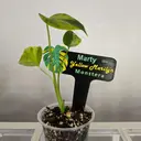 jon_e_5_theplanttagger