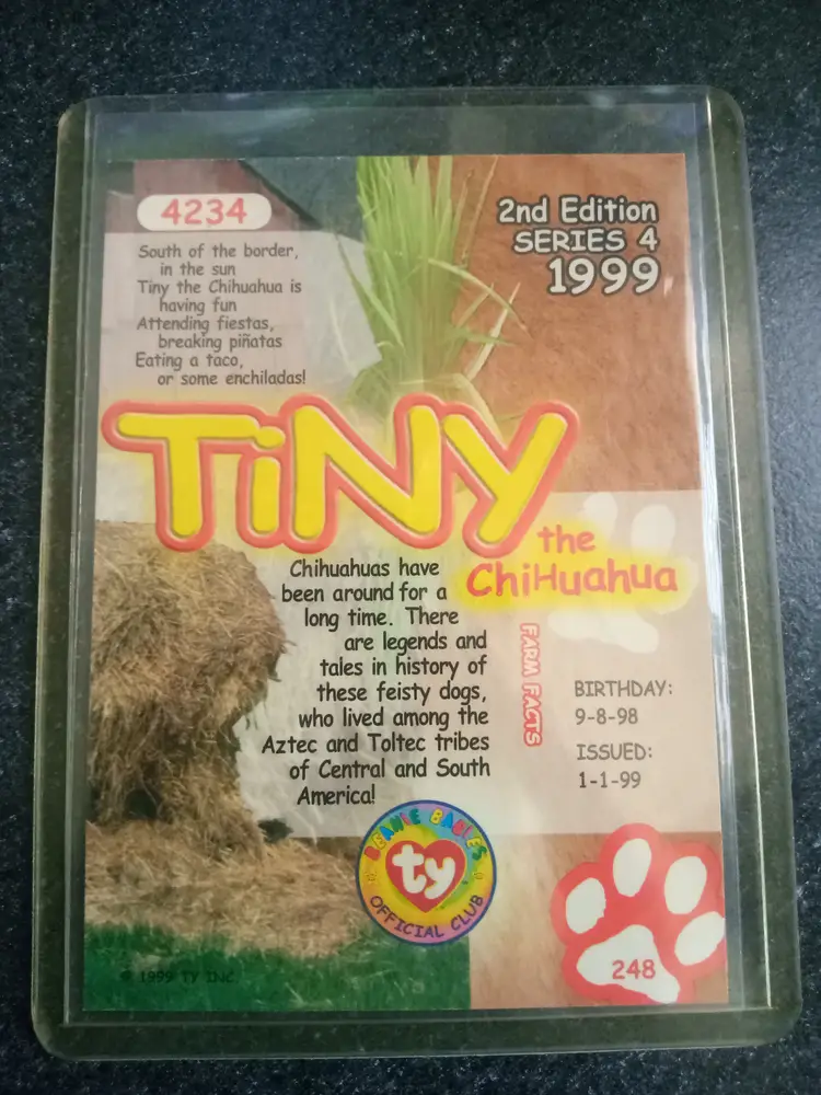 Ty Beanie Baby Tiny the Chihuahua dog.