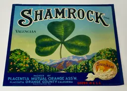 Vintage Original Shamrock Citrus Crate Label 1930’s