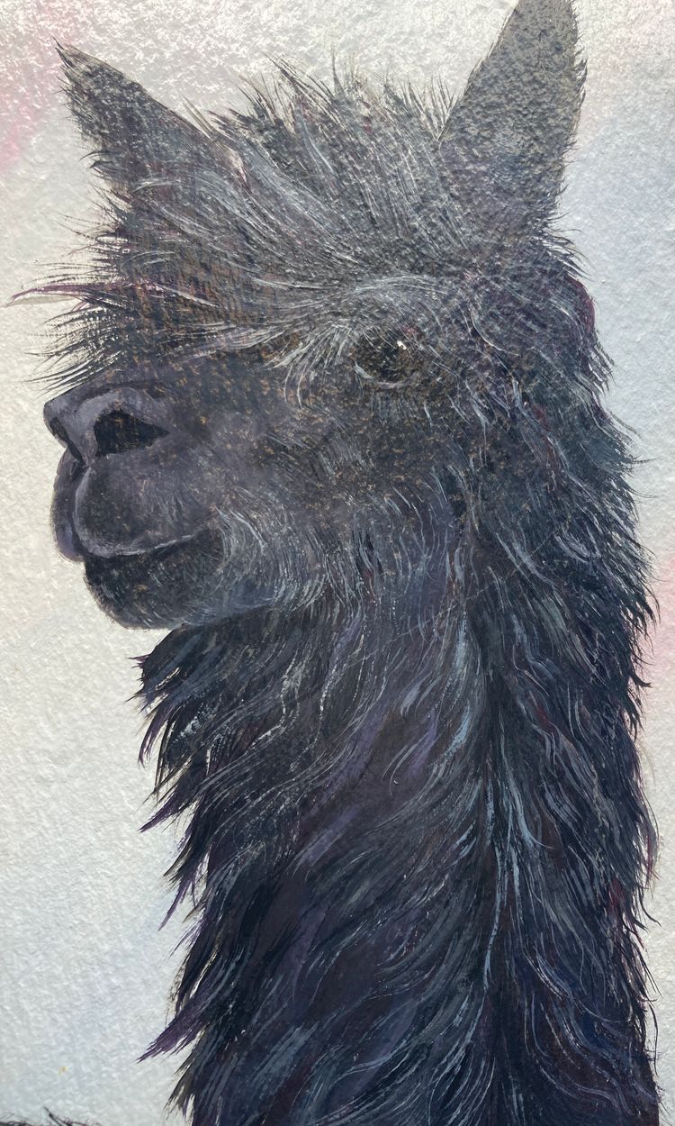Signed Hand Painted Art - Alpaca on Slate - Wall Hanging