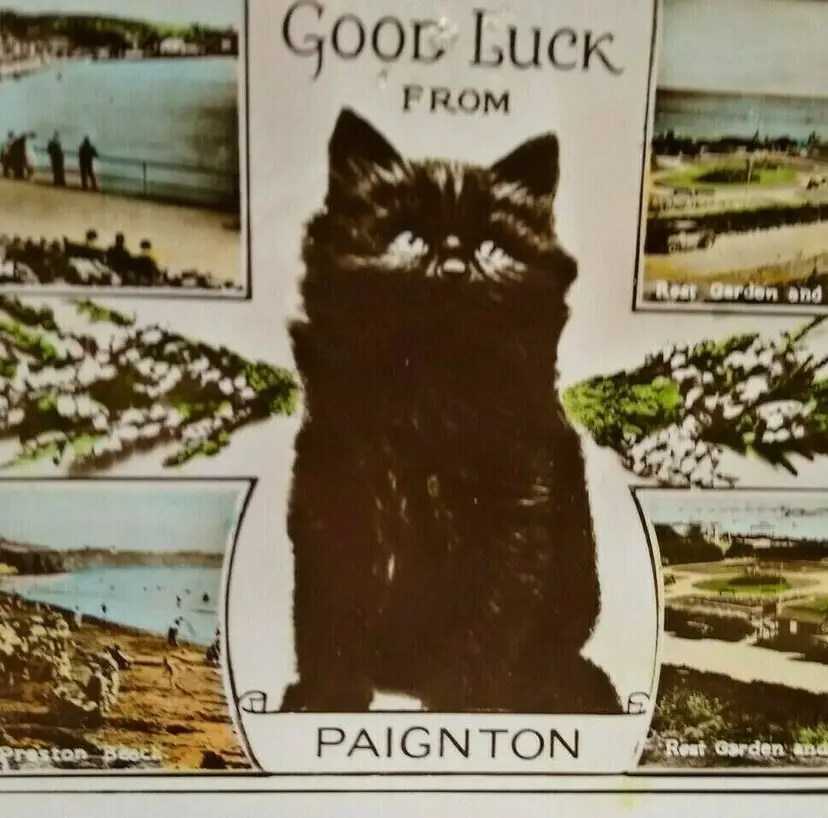 Black Cat Postcard Good Luck From Paignton RPPC Real Photo Nign Ventnor England